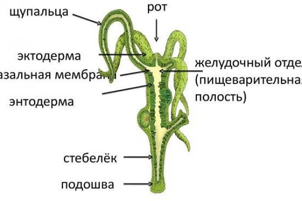 Kraken ссылка официальная